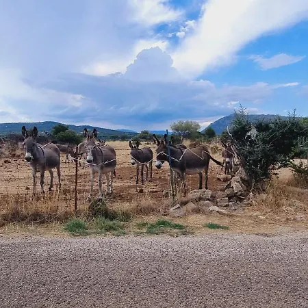 Διαμέρισμα Rustikale Gonone Dorgali